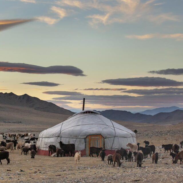 Dormir en un ger i compartir la vida dels nòmades a Mongòlia.
