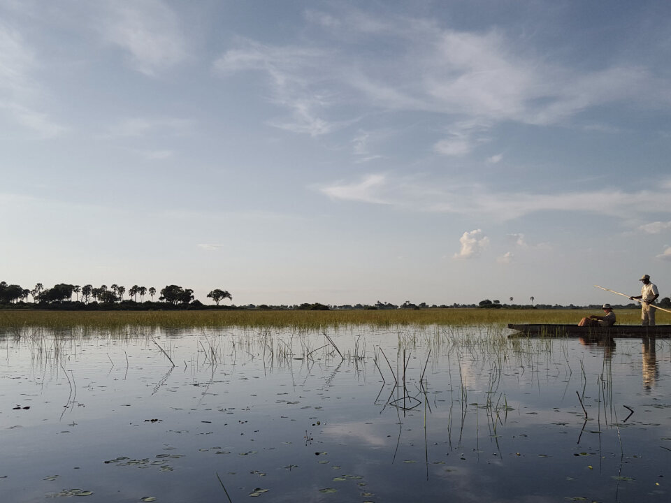 El delta de l’Okavango, safari per l’Àfrica més salvatge.