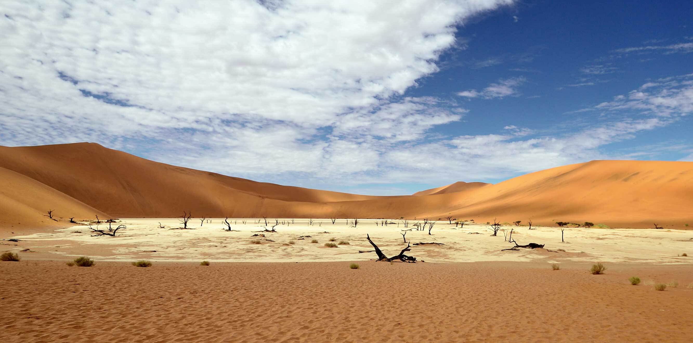 El desert del Namib és el desert més antic del món.