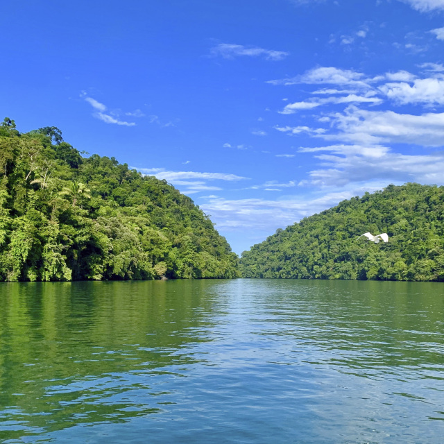 Navegarem per Río Dulce, passant per la reserva del Manatí Biòtop Chocón Machacas.