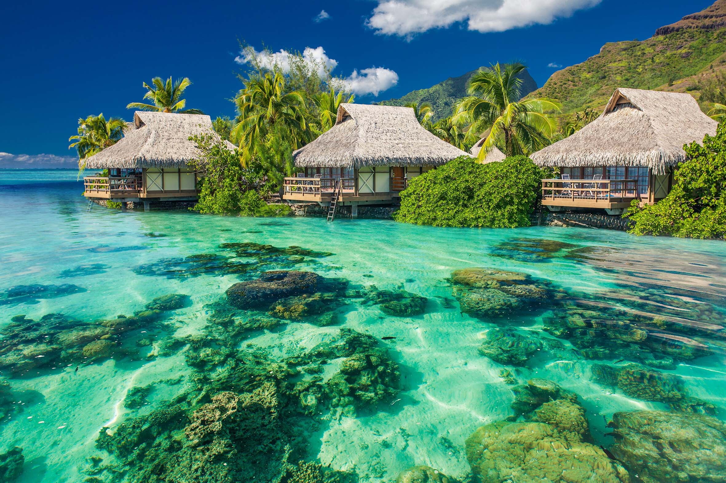 Bora Bora, coneguda com la "Perla del Pacífic", és una de les illes més icòniques de Polinèsia.